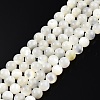 Natural White Shell Bead Strands SSHEL-N003-144D-01-1
