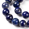 Natural Lapis Lazuli Round Beads Strands X-G-I181-09-10mm-3
