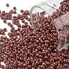 TOHO 11/0 Round Beads X-SEED-TR11-PF0564F-1