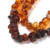 Gradient Color Natural Amber Beads Strands G-K387-F01-01-3