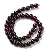 Gemstone Beads Strands G-G099-4mm-36-5
