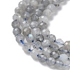 Natural Labradorite Beads Strands G-L651-C11-4mm-4