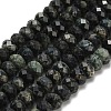 Natural Kambaba Jasper Beads Strands G-Z111-A14-02-3