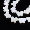 Natural Freshwater Shell Beads Strands SHEL-T009-A17-01-3