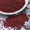 MIYUKI Delica Beads X-SEED-J020-DB2354-1