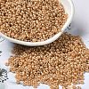 Baking Paint Glass Seed Beads SEED-P006-03A-24-1