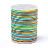 Segment Dyed Polyester Thread NWIR-I013-C-05-1