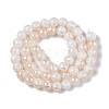 Electroplated Crackle Glass Beads Strands X-EGLA-N014-8mm-02-2
