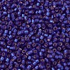 MIYUKI Delica Beads SEED-X0054-DB0696-3