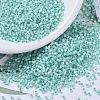 MIYUKI Delica Beads SEED-X0054-DB0626-1