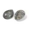 Natural Labradorite Cabochons G-H094-01A-19-2