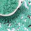 Glass Seed Beads SEED-H002-E-A1417-1