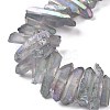 Natural Quartz Crystal Points Beads Strands G-K181-B21-3