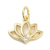 Rack Plating Brass Clear Cubic Zirconia Pendants KK-M293-11G-1