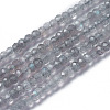 Natural Labradorite Beads Strands G-F596-07-1