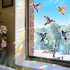 Hummingbird Rainbow Prism Electrostatic Window Stickers PW-WG45A57-01-6