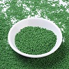 MIYUKI Round Rocailles Beads SEED-G007-RR0411-2