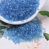 MIYUKI Delica Beads X-SEED-J020-DB0113-1