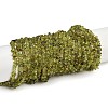 Natural Peridot Beads Strands G-P332-48-02-1