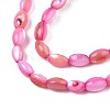 Freshwater Shell Beads Strands SHEL-T009-B15-03-3