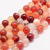 Natural Carnelian Bead Strands G-K153-B20-6mm-1