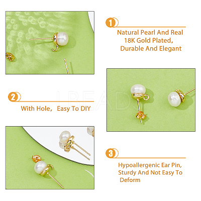 5 Pair Natural Pearl Round Stud Earrings Findings KK-HY0001-79-1