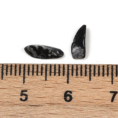 Natural Snowflake Obsidian Beads X-G-U032-A08-1