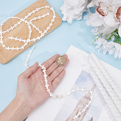 3 Strands Natural Sea Shell Beads Strands SSHEL-ME0001-08-1