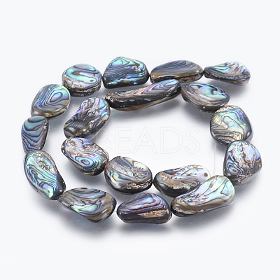 Natural Abalone Shell/Paua Shell Beads Strands SSHEL-P014-02-1