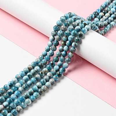 Natural Apatite Beads Strands G-G858-01A-1
