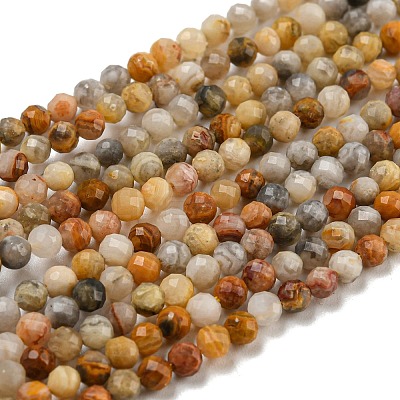 Natural Crazy Lace Agate Beads Strands G-K020-3mm-29-1