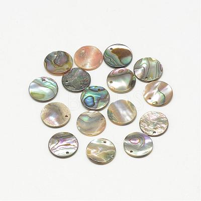 Paua Shell Charms SSHEL-R041-37-1