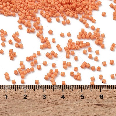 Baking Paint Glass Seed Beads SEED-S042-05B-83-1