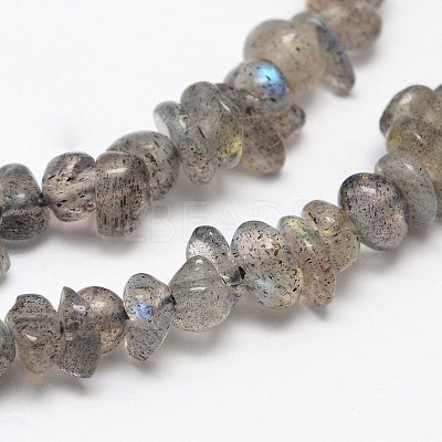 Chips Natural Black Larvikite Beads Strands G-N0164-61-1