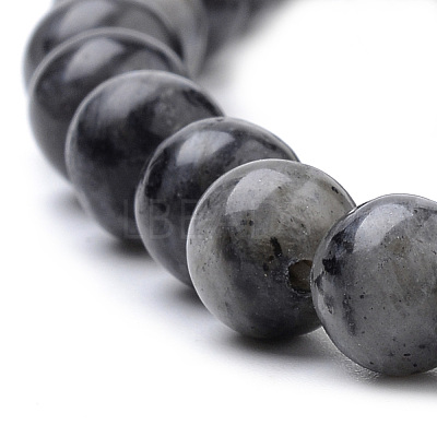 Natural Larvikite Beads Strands X-G-S259-06-10mm-1