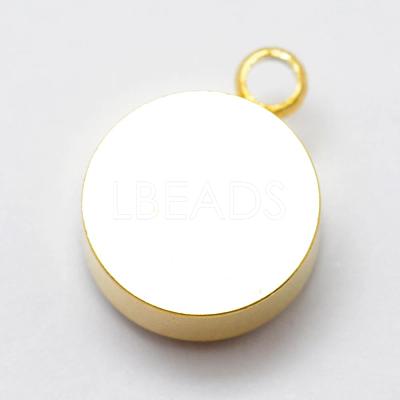 Electroplated Natural Druzy Agate Charms G-P321-04G-1