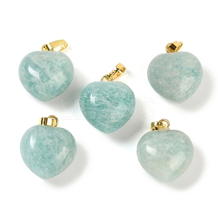 Natural Amazonite Pendants G-J386-H16-G-1