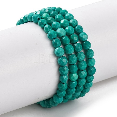 Natural Howlite Beads Strands G-C025-02B-08-1