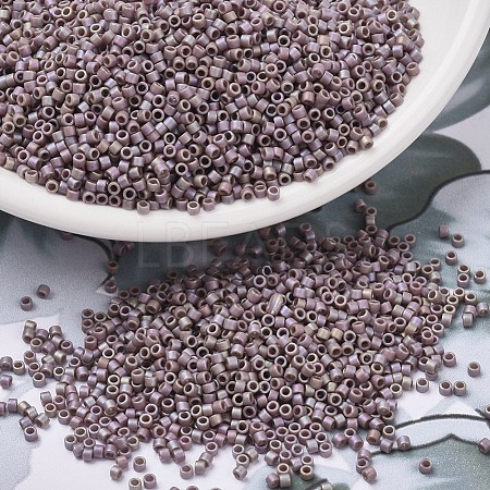 MIYUKI Delica Beads SEED-X0054-DB2321-1