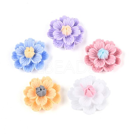 Resin Decoden Cabochons CRES-T025-04M-1