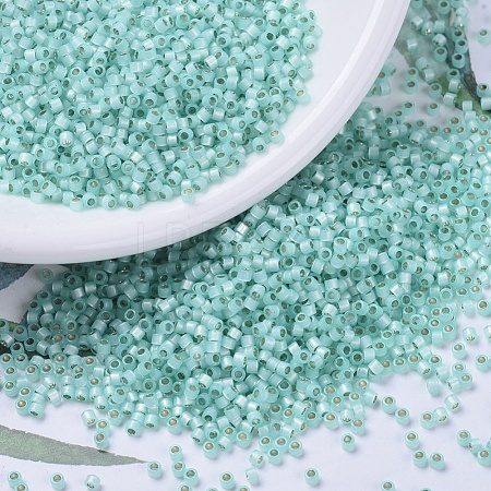 MIYUKI Delica Beads SEED-X0054-DB0626-1