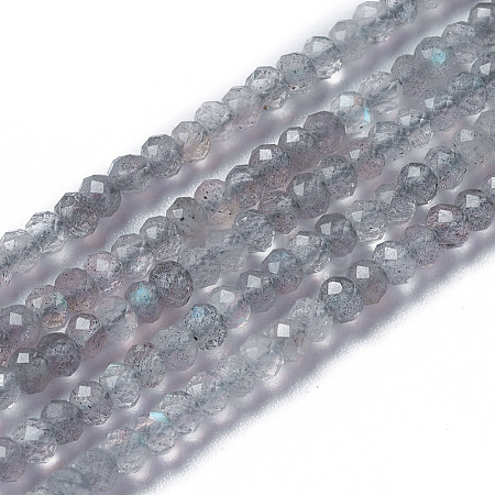 Natural Labradorite Beads Strands G-F596-07-1