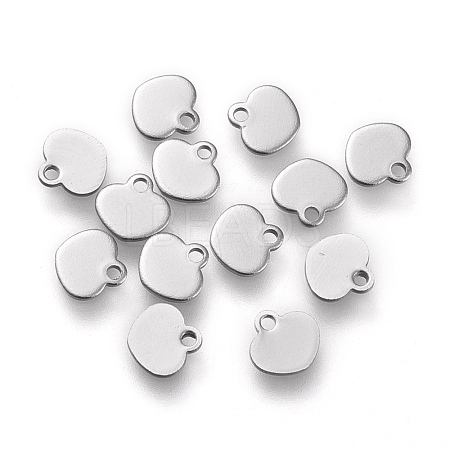 304 Stainless Steel Charms STAS-K195-14P-1