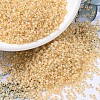 MIYUKI Round Rocailles Beads SEED-G007-RR0552-1