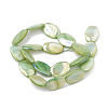 AB Color Freshwater Shell Bead Strands X-SHEL-T009-04C-2