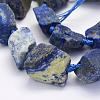 Natural Lapis Lazuli Beads Strands G-G697-E09-3