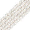 Electroplated Shell Pearl Beads Strands BSHE-Z009-11-2