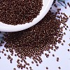 MIYUKI Delica Beads X-SEED-J020-DB1202-1