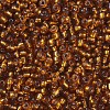 8/0 Glass Seed Beads X1-SEED-A005-3mm-22C-2
