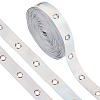 9 Yards Imitation Leather Ribbon with Platinum Plated Alloy Eyelets OCOR-AR0001-64B-1